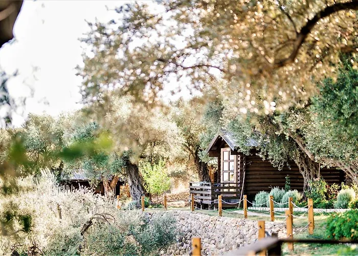 Holiday Park Olive Tree